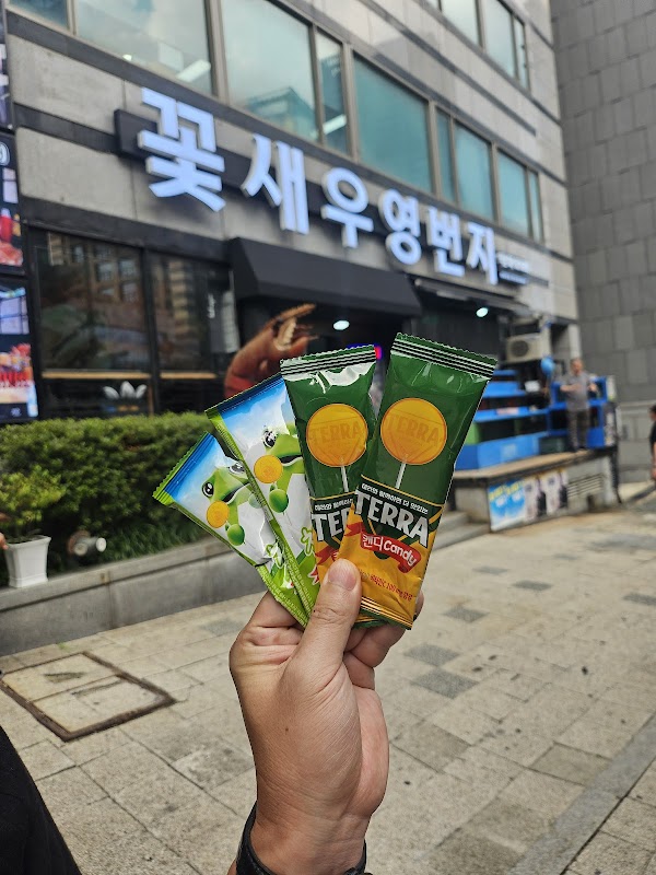 Kkotsaeu Yeongbeonji 2