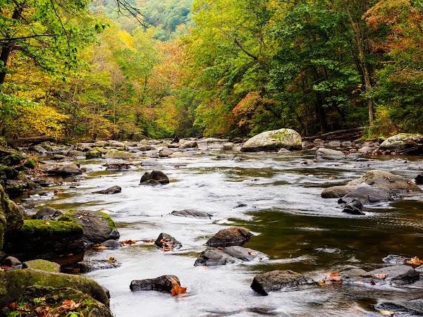 Ken Lockwood Gorge Wildlife Management Area 1