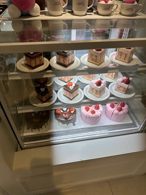 Miel Cakery 2