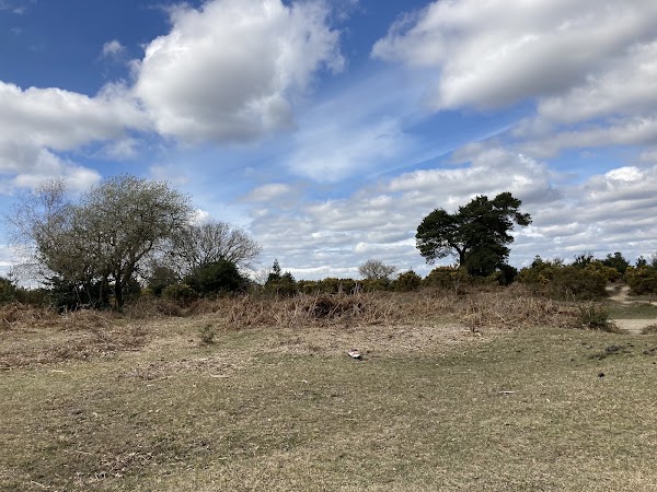 Holmsley Car Park