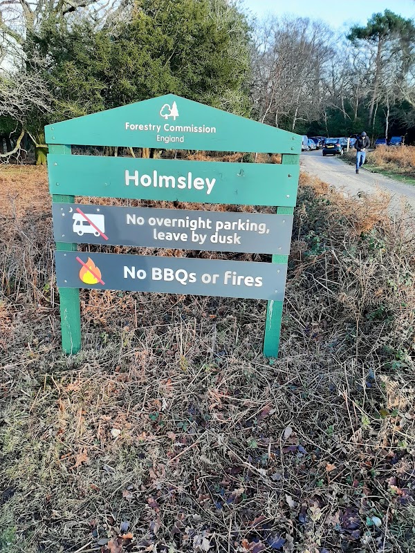 Holmsley Car Park 2