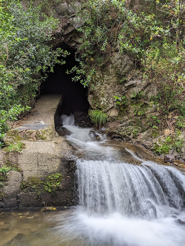 Fish Ladder 1