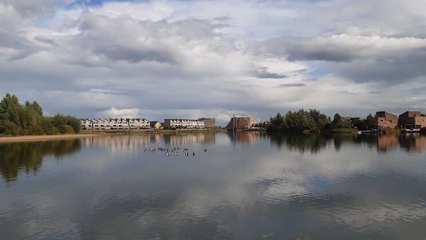 Rietplas 4