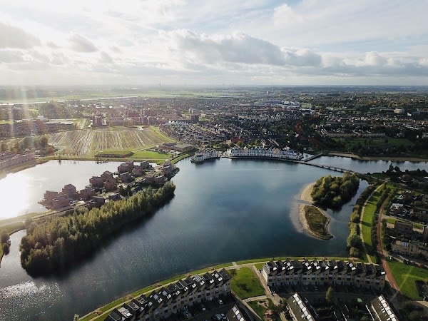 Rietplas 3