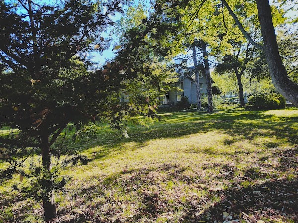 The Pickering House 3