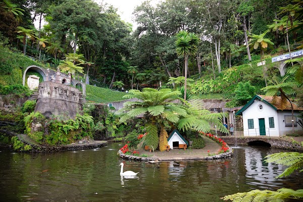 Madeira 23