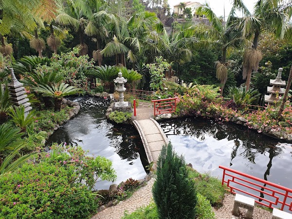 Jardim Monte Palace Madeira 4