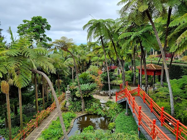 Jardim Monte Palace Madeira 2