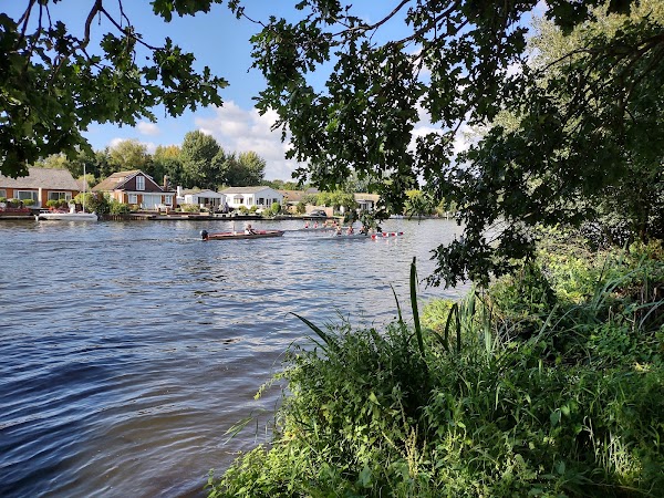 Walton-on-Thames 1