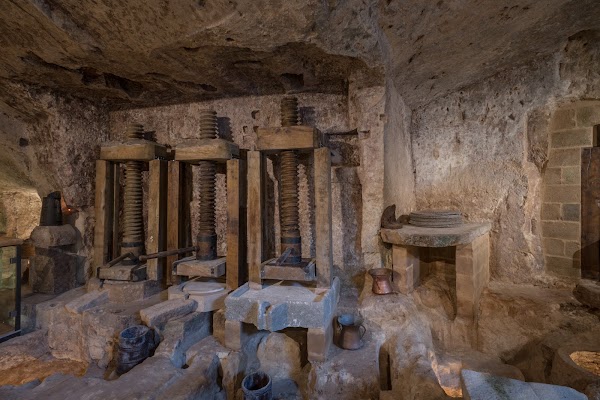 MOOM / Matera Olive Oil Museum