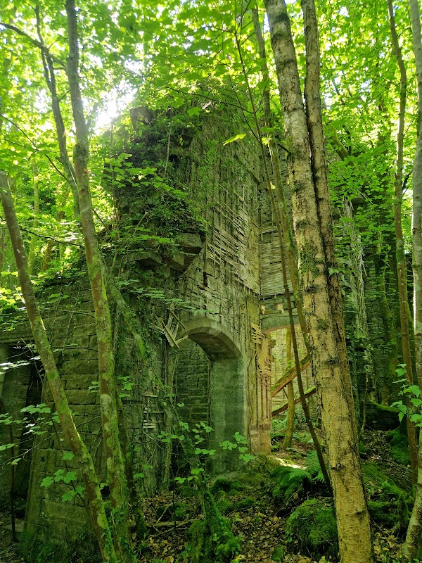 Buchanan Castle 3