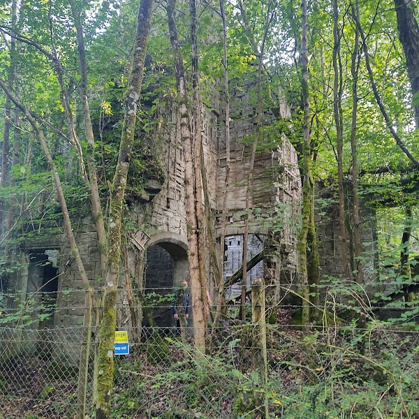 Buchanan Castle 2