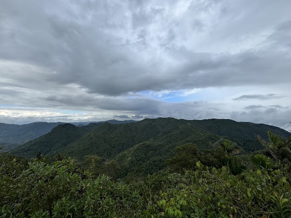 Cerro de Punta Trailhead
