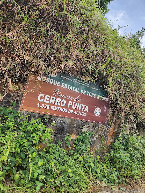 Cerro de Punta Trailhead 5