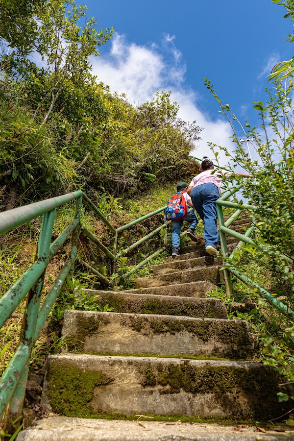 Cerro de Punta Trailhead 4