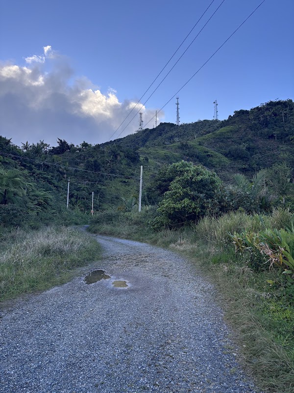 Cerro de Punta Trailhead 3