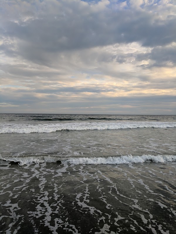 Gooch's Beach 3