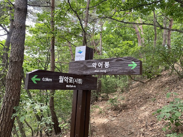 Daemisan Akeobong 4