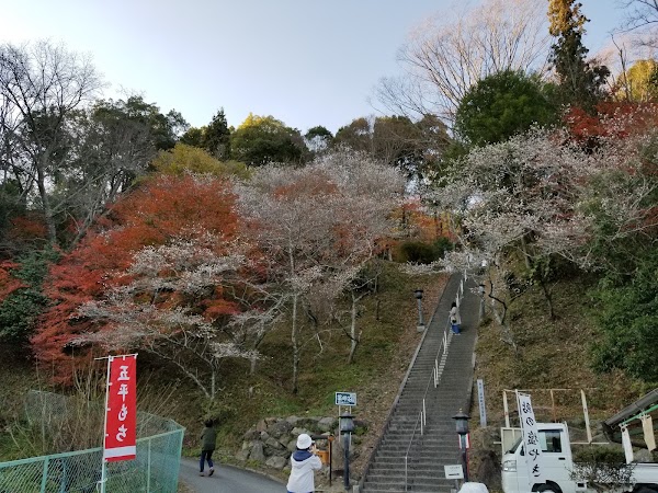 Senmi Shikizakura no Sato - Four Seasons Cherry Blossoms 3