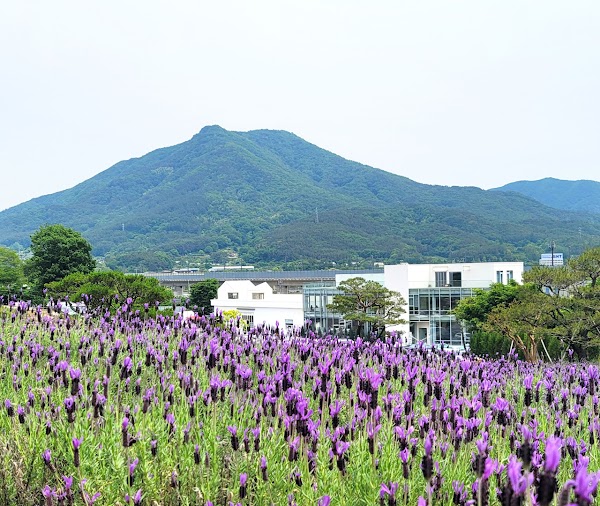 느티나무의사랑 카페 3