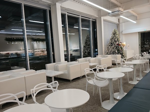 느티나무의사랑 카페 2