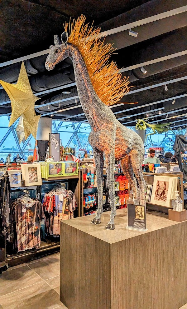 The Dali Gift Shop 4