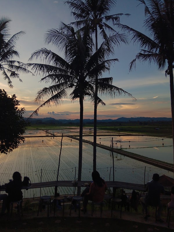 Wisata sawah Sudut Pandang