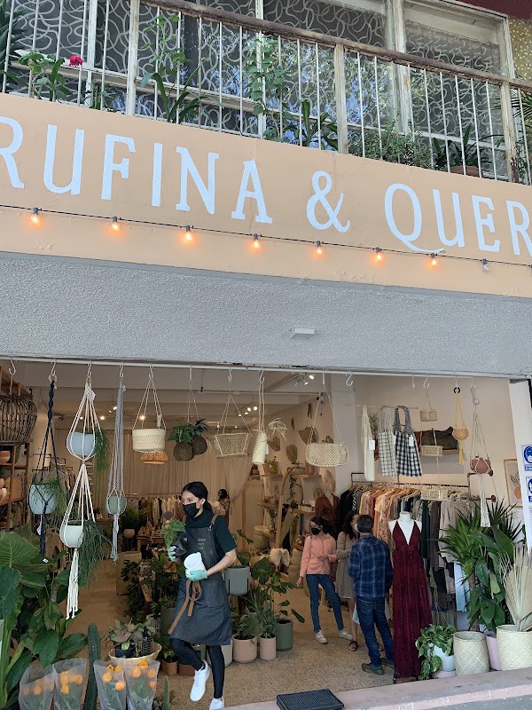 Proyecto Rufina Roma Norte