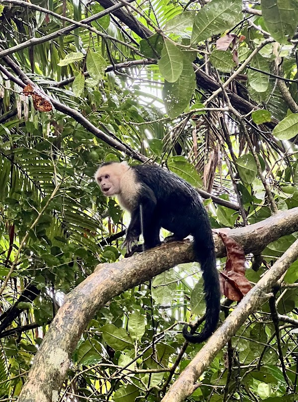 Manuel Antonio Park Info Center 5