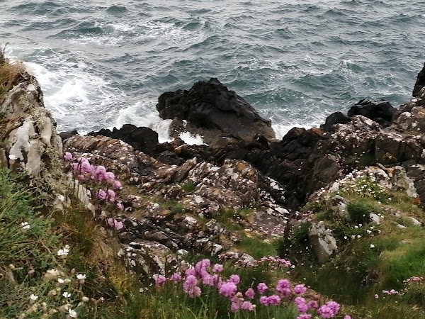 Isle of Whithorn 4