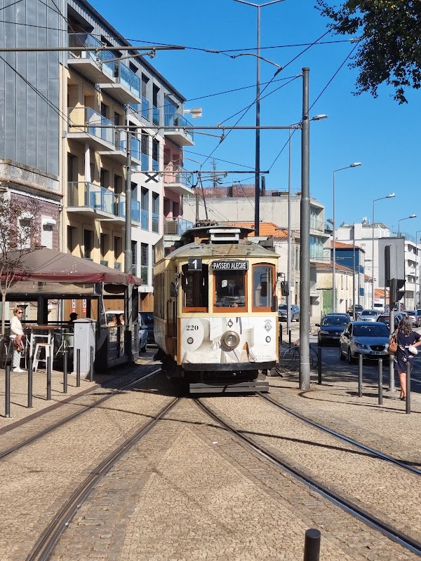Tram Linha 1 - Terminus Passeio Alegre 1