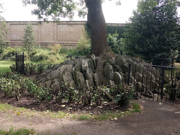 The Hardy Tree 5
