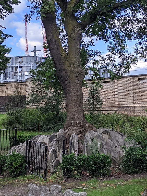 The Hardy Tree 3