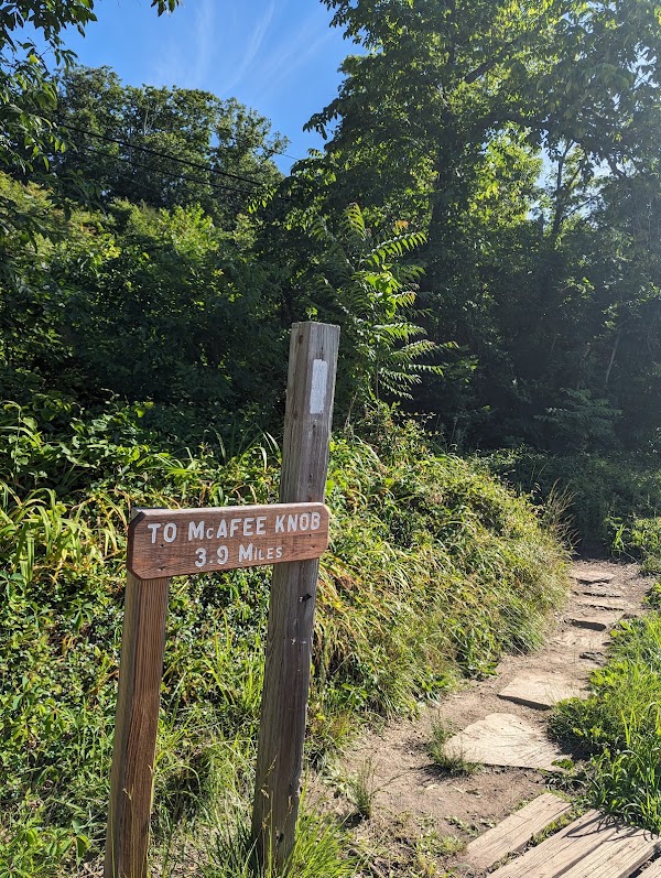 McAfee Knob Trailhead 3