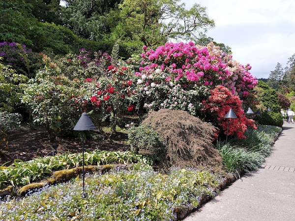 Butchart Gardens