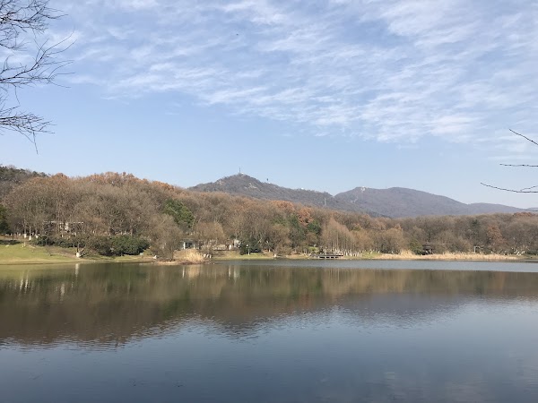 Zhongshan Scenic Area 4