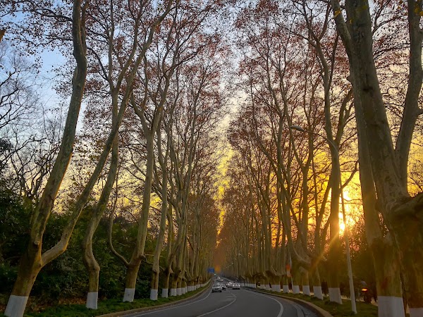 Zhongshan Scenic Area 2