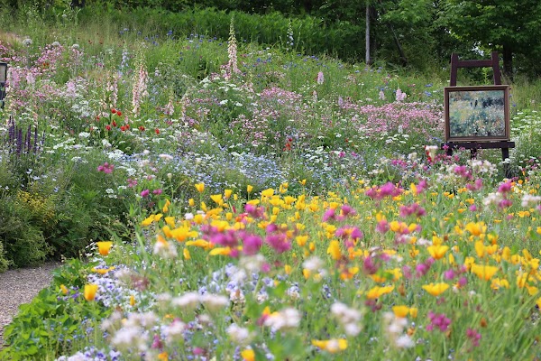 Garden Museum Hiei