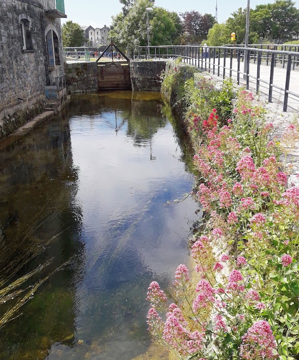Galway 2