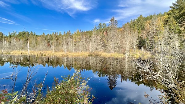 Algonquin Provincial Park 3