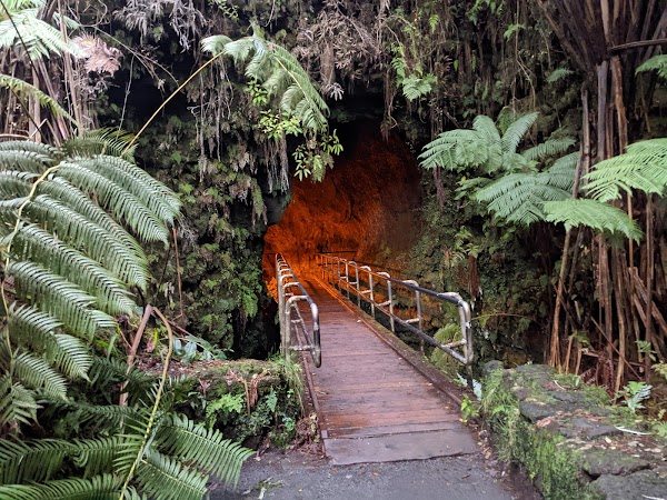 Nāhuku Lava Tube 4