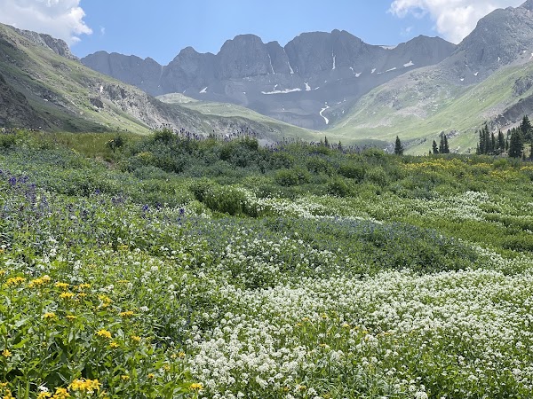 American Basin 1