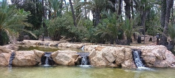 El Palmeral 5