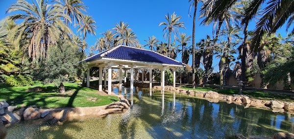El Palmeral 4