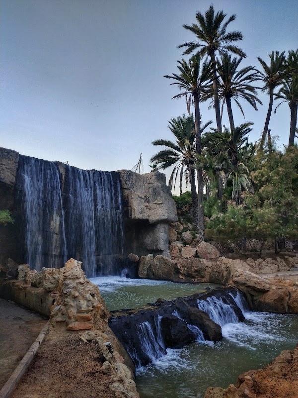 El Palmeral 3