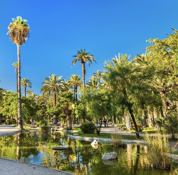 El Palmeral 2