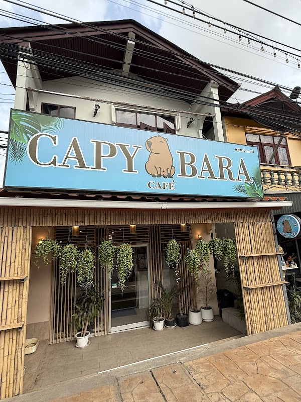 CapyBARa fisherman’s village 3