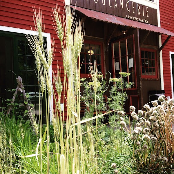 Boulangerie - A Proper Bakery