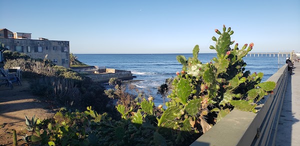 Ocean Beach 5