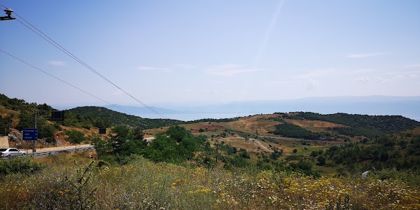 Qafë Thanë